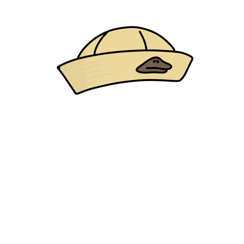 Hat 1